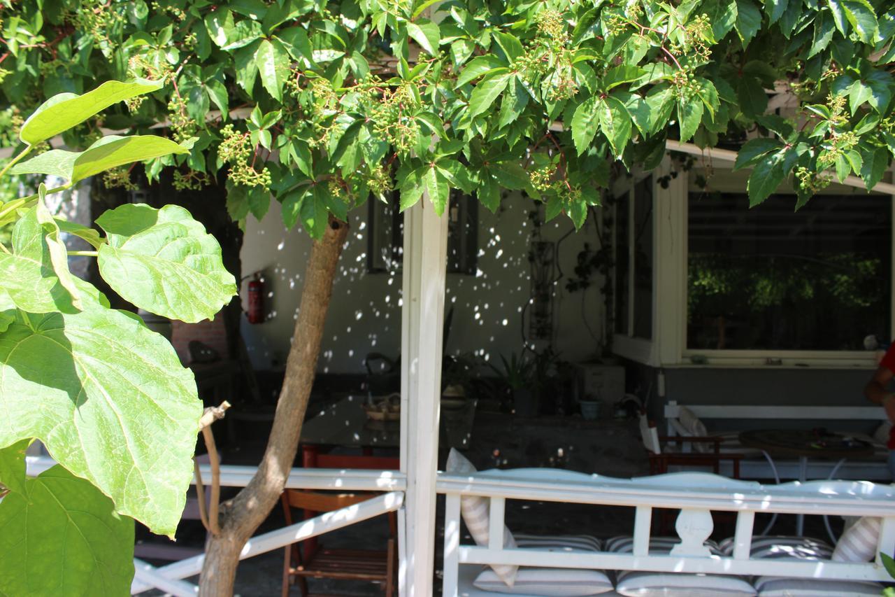 Studio Aspa Apartment Skala Eresou Luaran gambar