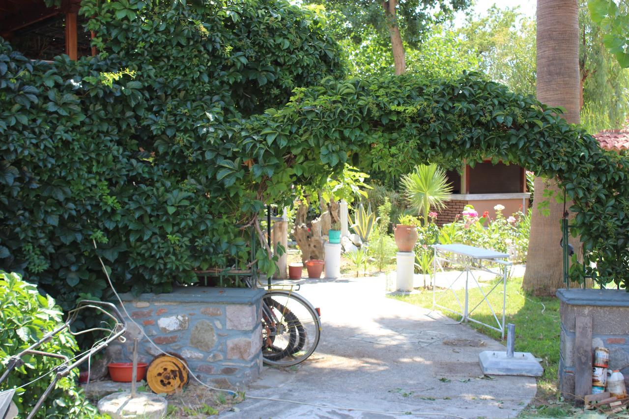 Studio Aspa Apartment Skala Eresou Luaran gambar